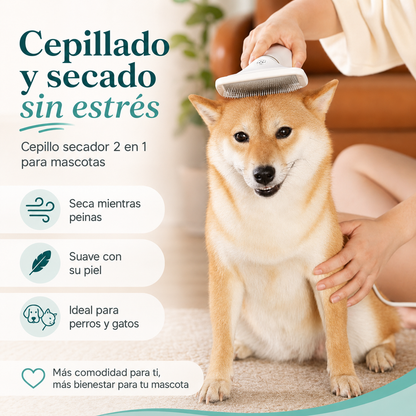 Cepillo Secador para Mascotas 2 en 1